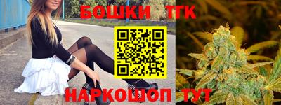 мдпв Дубна
